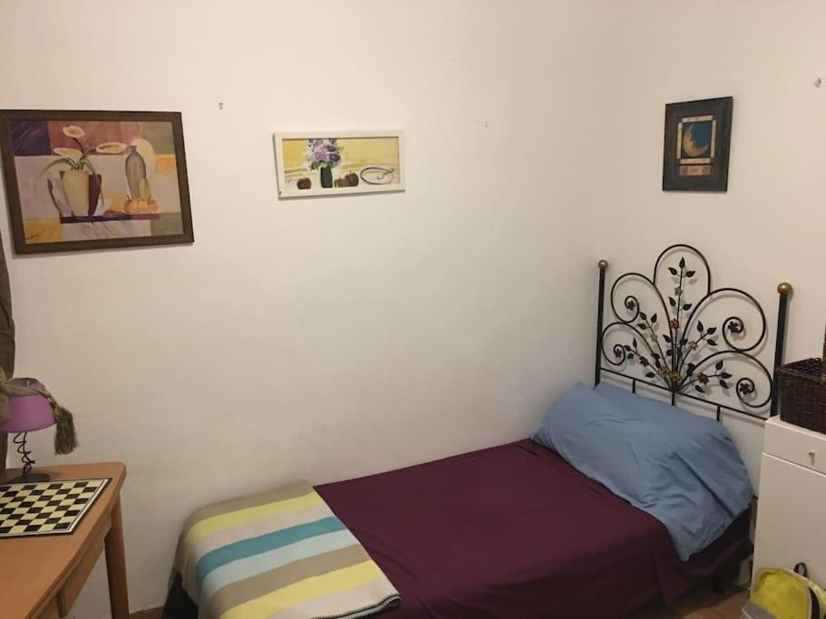The Oasis One Spacious Apartment In Sevilla المظهر الخارجي الصورة
